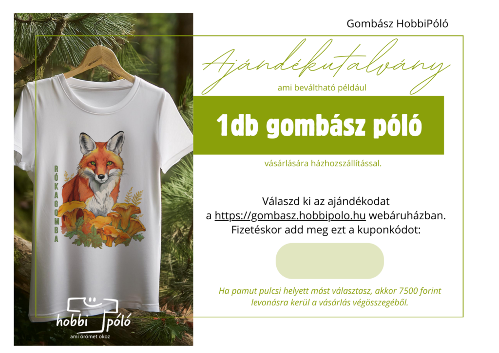Ajándékutalvány borítékban - póló