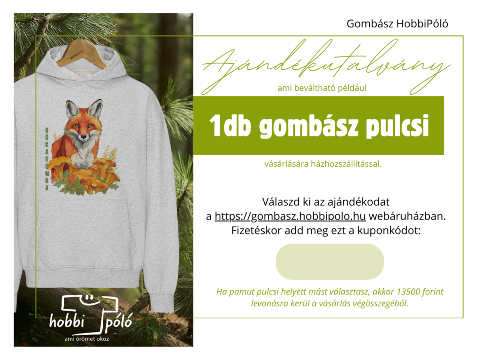 Ajándékutalvány borítékban - pulcsi
